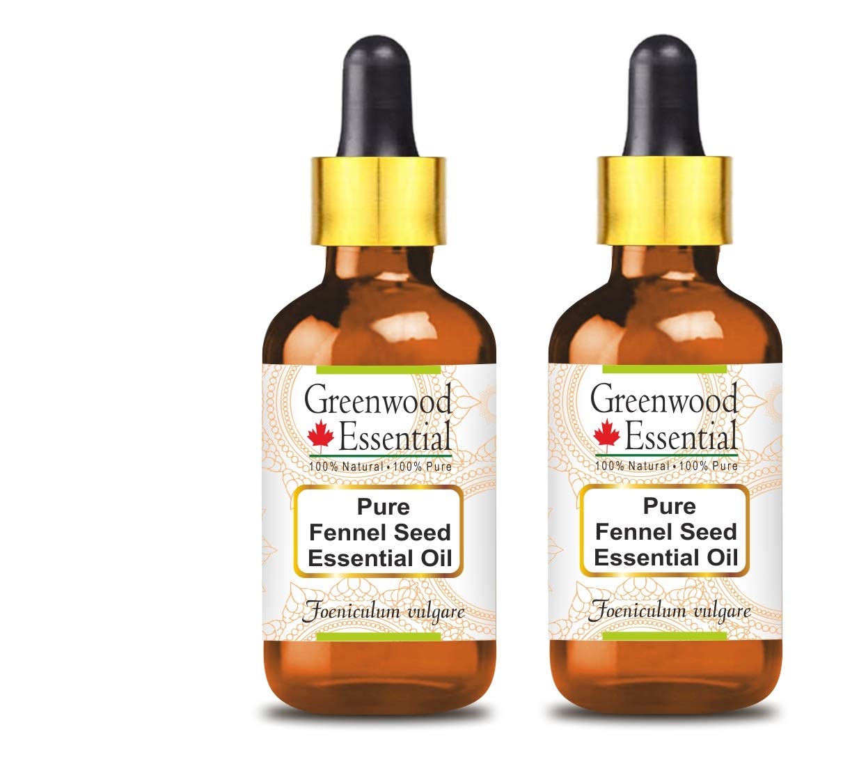 Greenwood EssentialPure Fennel Seed Essential Oil (Foeniculum vulgare) with Glass Dropper 100% Natural Therapeutic Grade Steam Distilled for Personal Care (Pack of Two) 100ml X 2 (6.76oz)