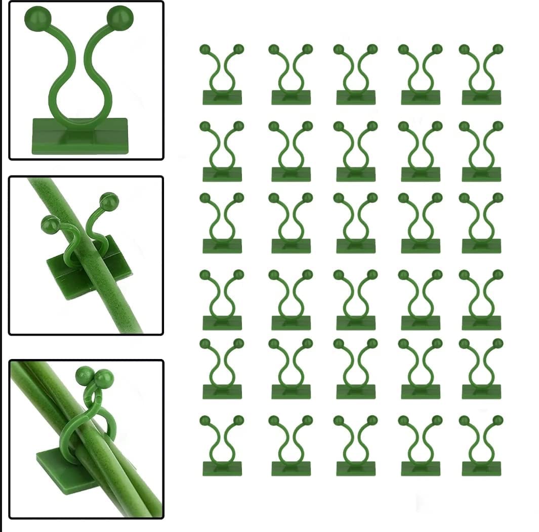 CRIYALE 30Pcs Plant Climbing Wall Clip, Reusable Plastic Plant Support Clips, Self-Adhesive Money Plant Support Wall Vines Fixture Wall Hook Vines Climbing Clip for Home (Green Plant Clip)