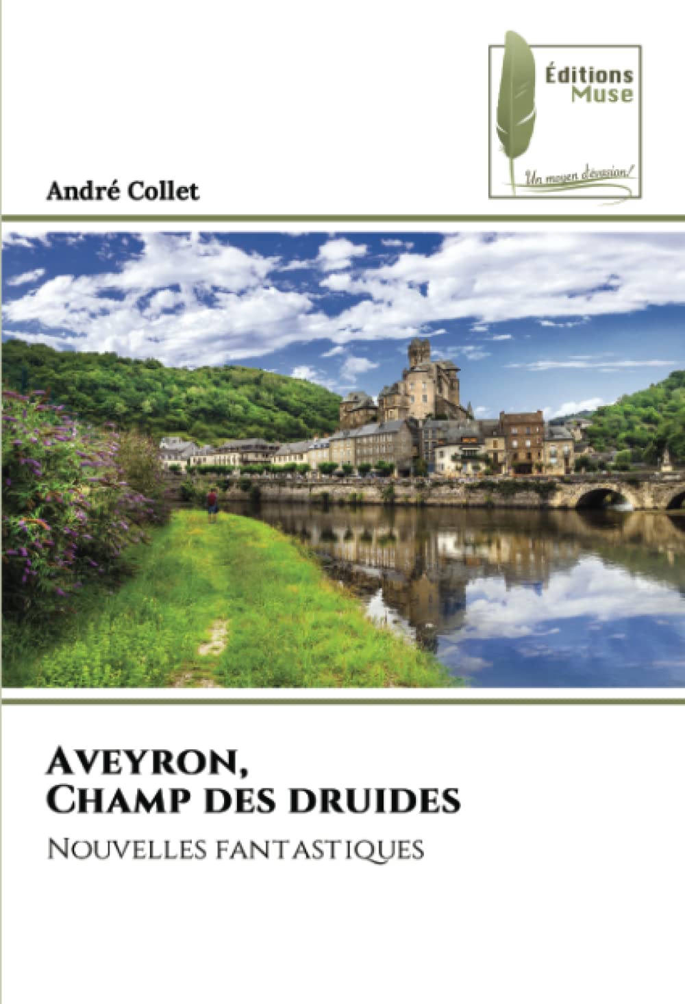 Aveyron, Champ des druides