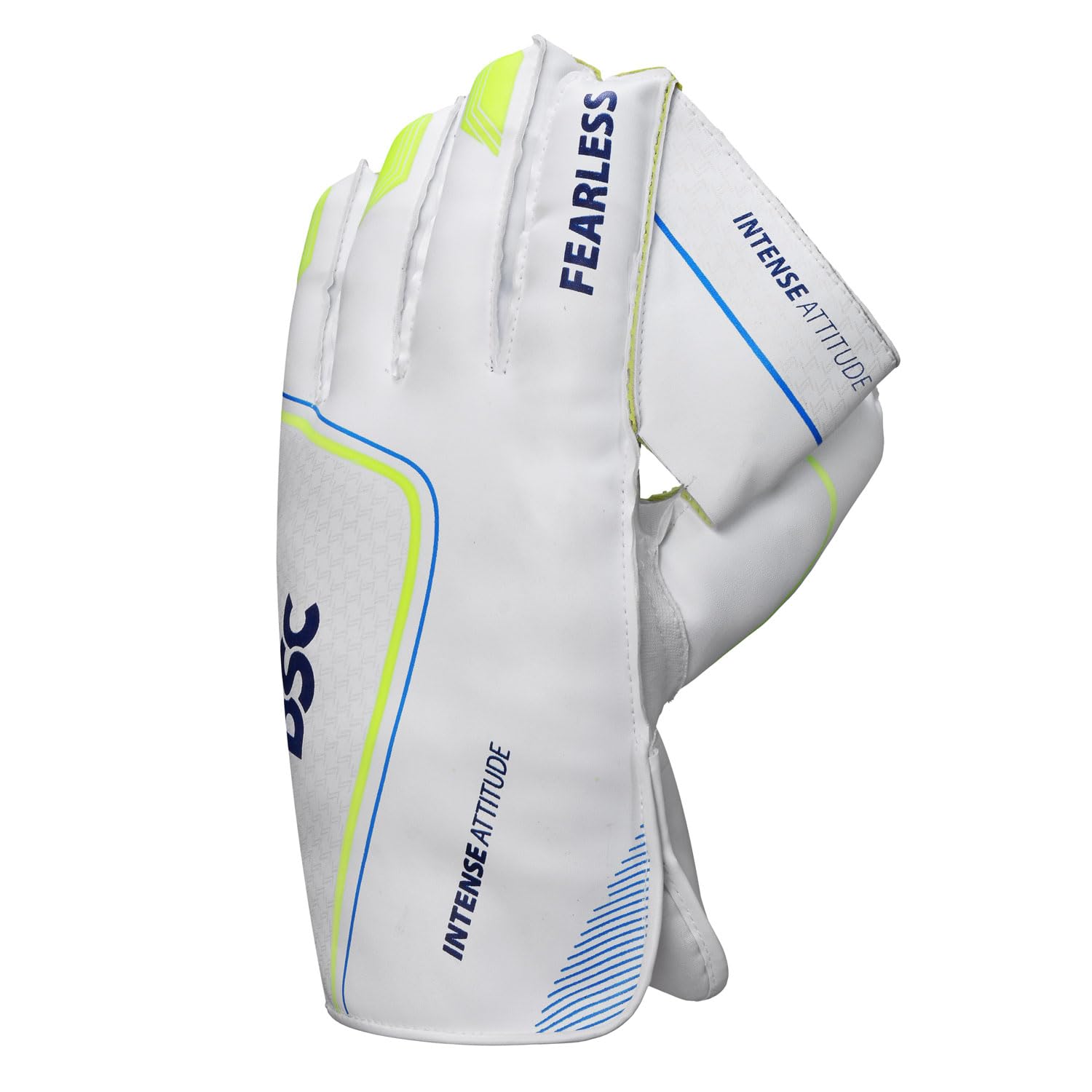 DSC Intense Attitude Cricket Wicket Keeping Gloves