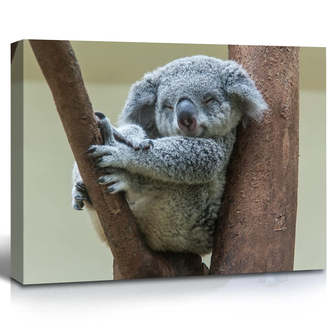 JOWOROLO Kids Room Decor Koala Wall Art Cute Koala Smiling on Branches Wild Animal Canvas for Nursery Living Room, 12"x16" Framed