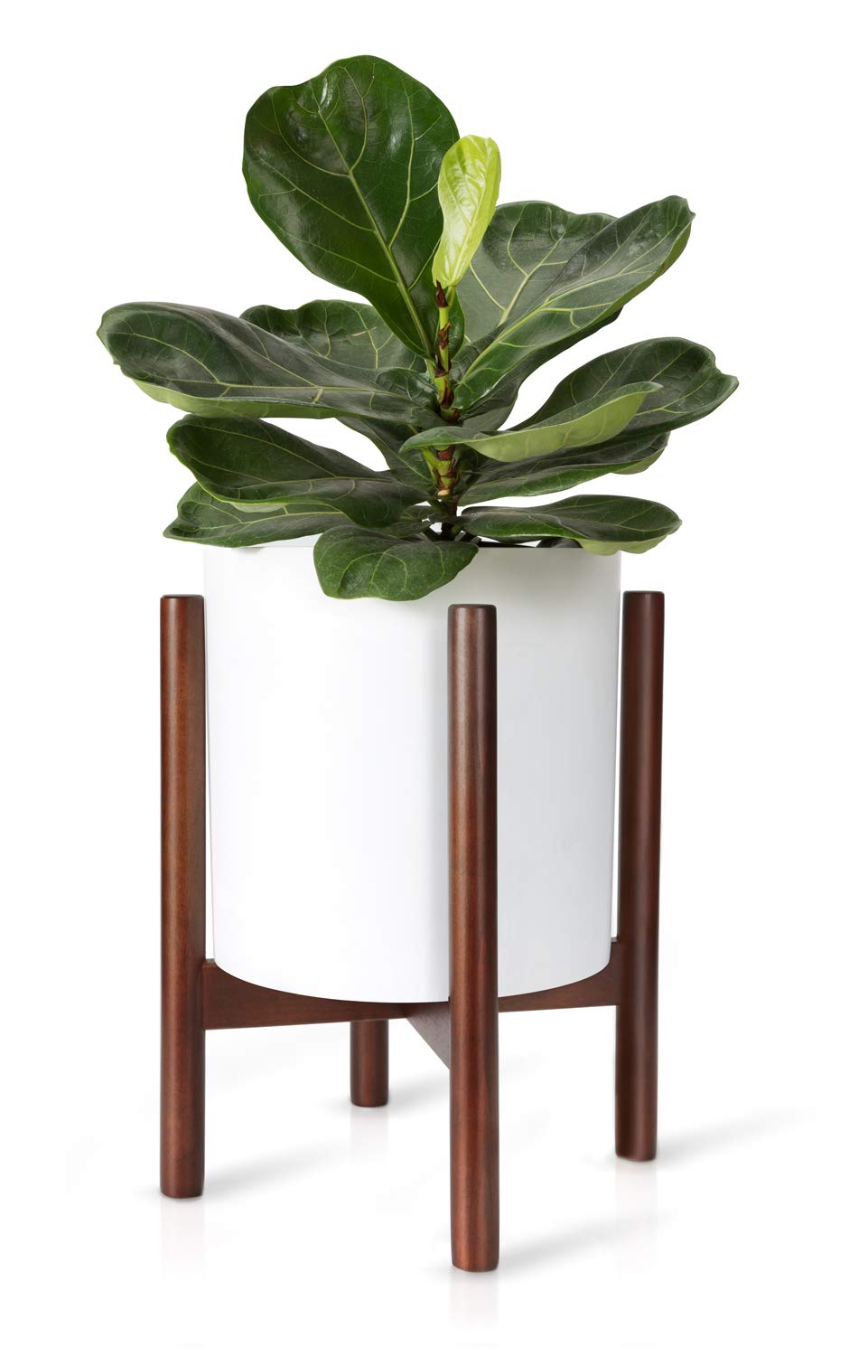 Modern vases plant