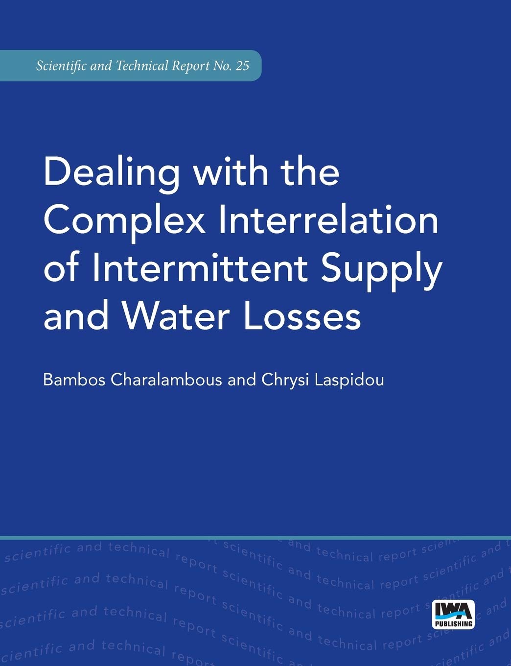 Dealing with the Complex Interrelation of Intermittent Supply and Water Losses (Scientific and Technical Report)