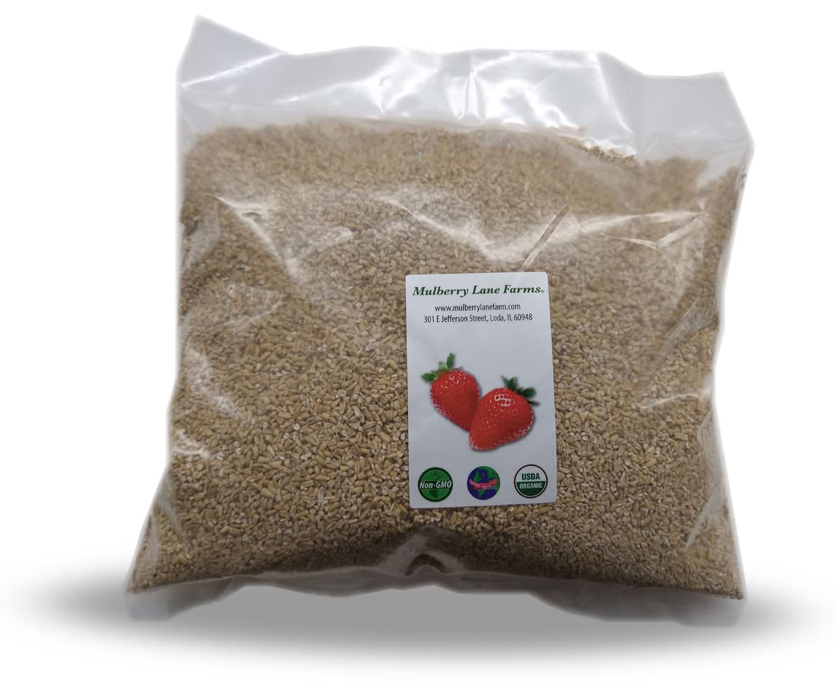 Steel Cut Oats (Steelcut) 5 Pounds (Oat Groats, Irish Oatmeal), USDA Certified Organic, Non-GMO, Bulk, Mulberry Lane Farms