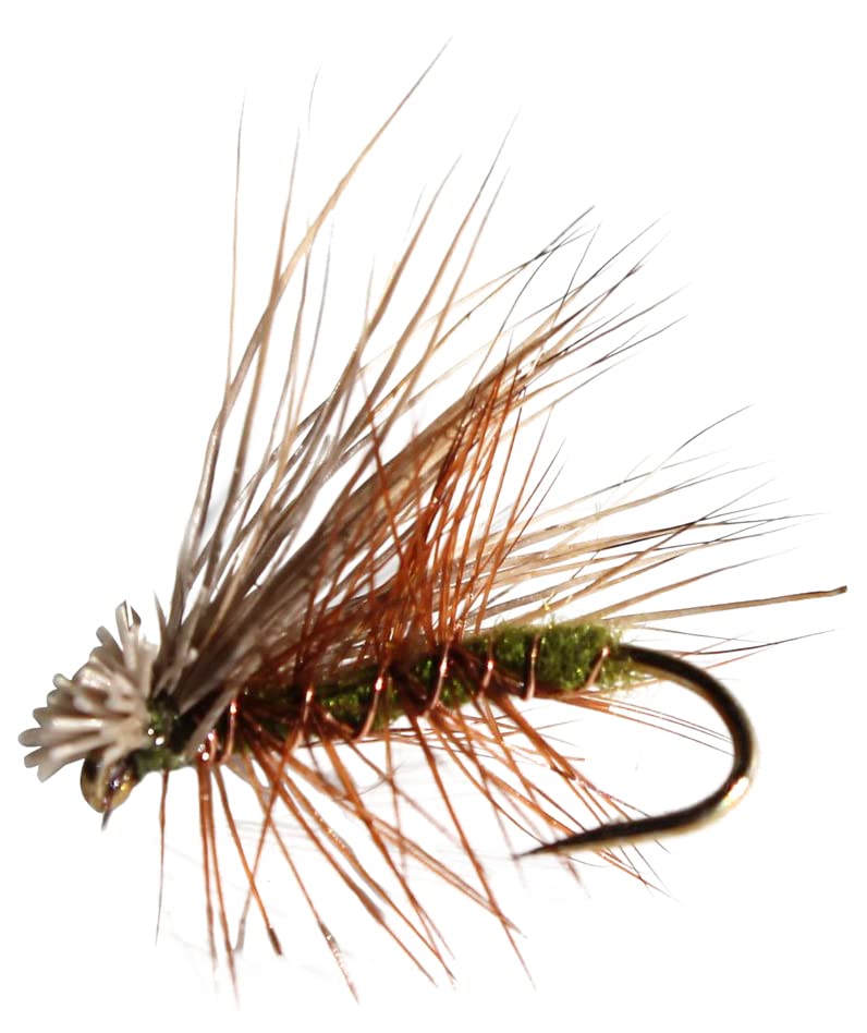 Elk Hare Caddis Olive Assortment Trout Fishing Flies (1-Dozen),Rose Gold