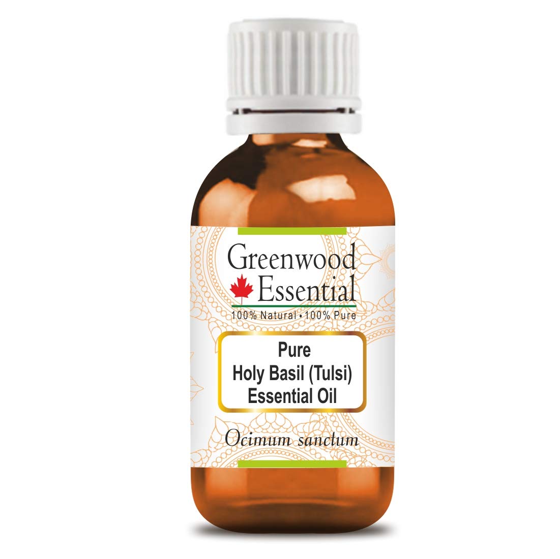 Greenwood Essential Pure Holy Basil Essential Oil (Ocimum sanctum) 100% Natural Therapeutic Grade Steam Distilled 10ml (0.33 oz)