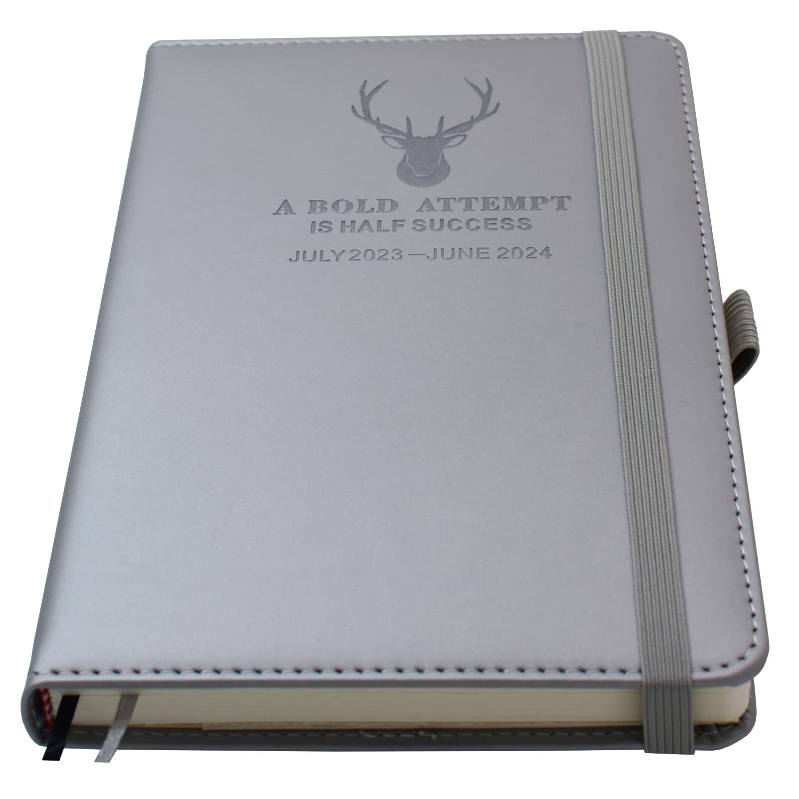 Academic Diary 2023-2024,Daily Diary 2023-2024 from July 2023 to June 2024,HardCover,A5 Day to Page Diary Planner with Pen Loop,Bookmarks,Monthly Stickers,Inner Pocket,14 x 21.5cm (Gray)