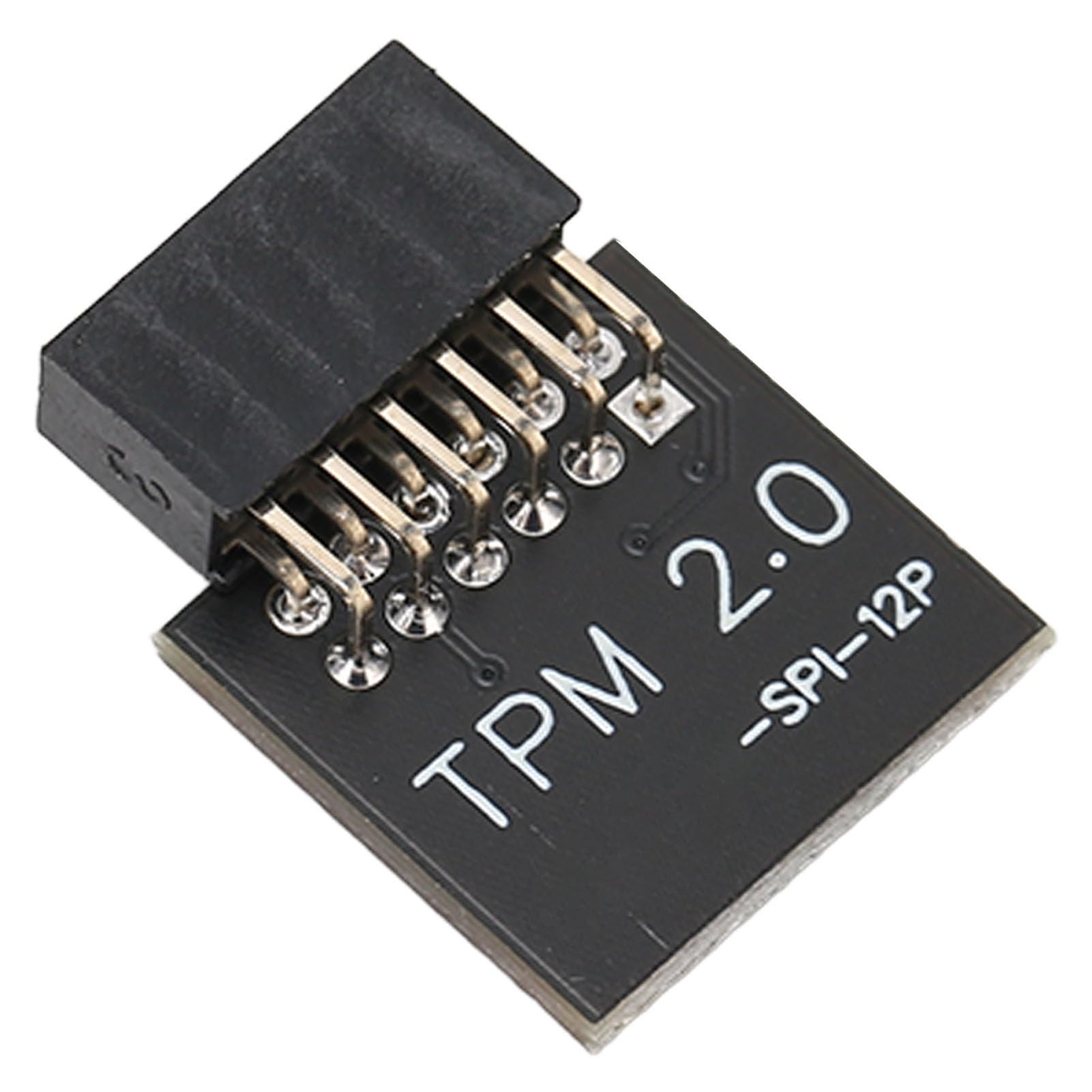 TPM2.0 Encryption Security Module for GIGABYTE Mainboard, SPI 12Pin, Win 11 2.0, Independent Encryption Processor