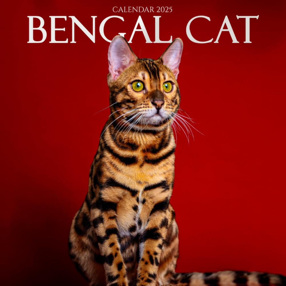 Bengal Cat Calendar 2025: The Wild Elegance of Bengals, Celebrate a Year with the Stunning Bengal Cats