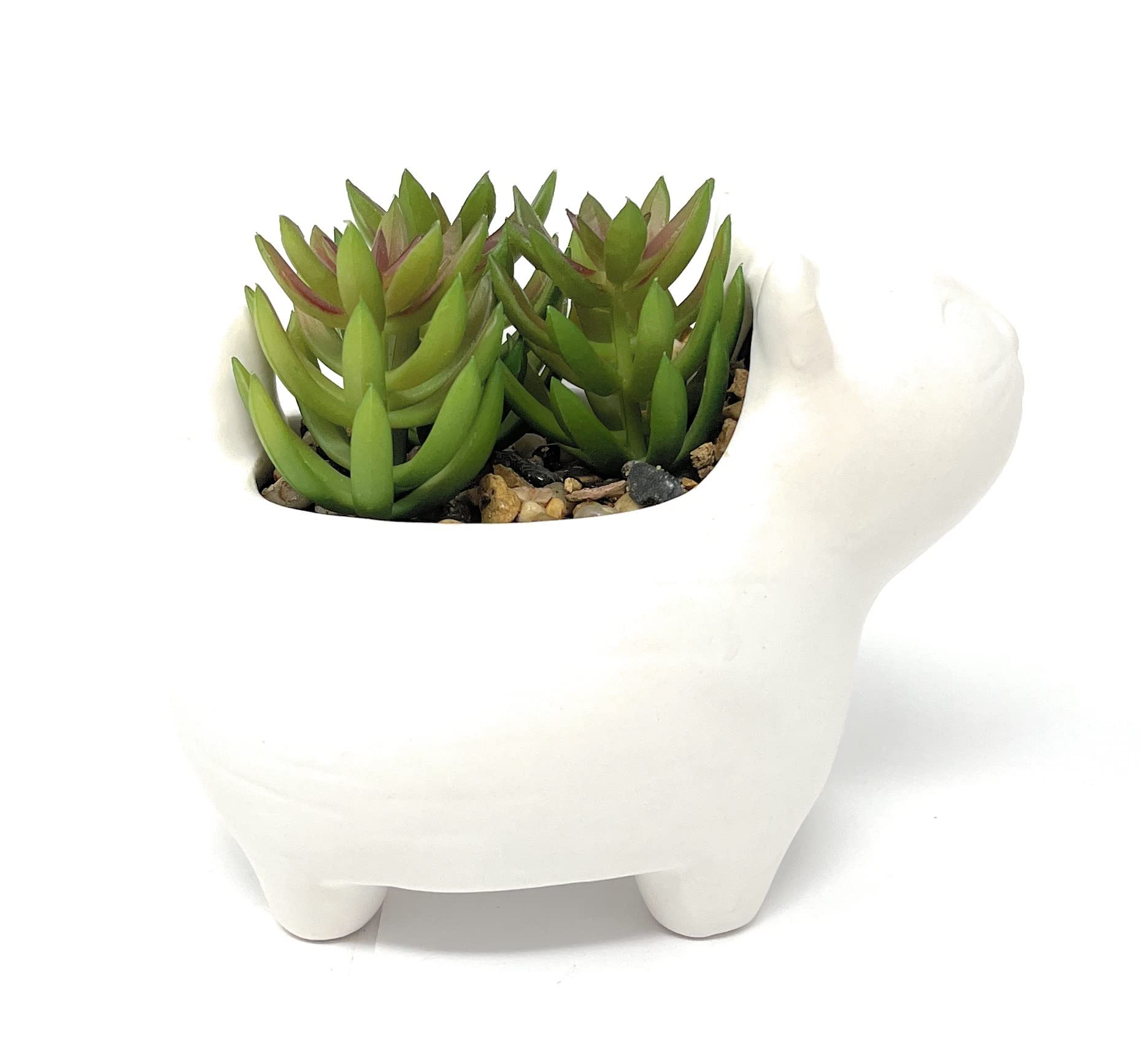 Nature's Mark 4.7" H Succulent in Cat White Ceramic Planter, Modern and Simple Stylish Design Artificial Plants