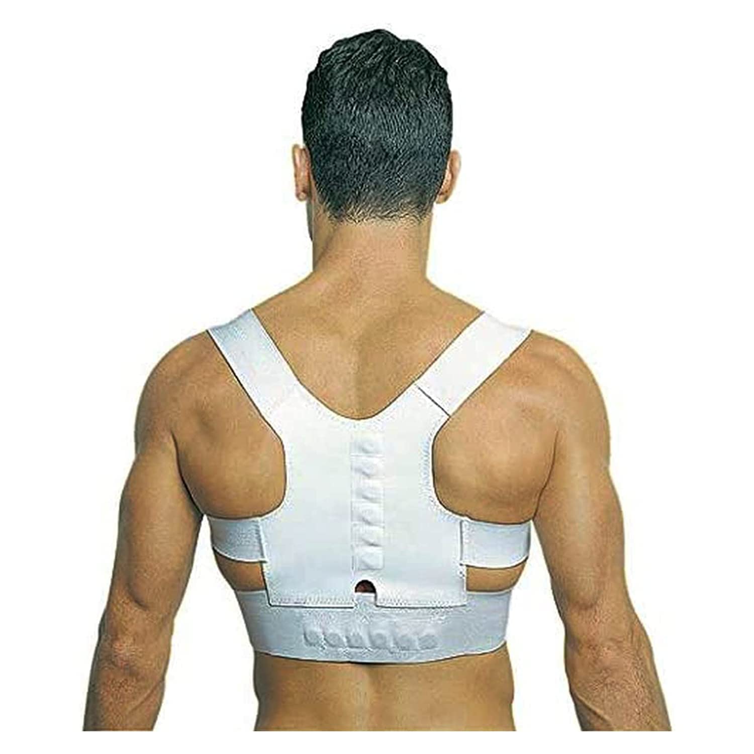 EMSON Dr. Levine Power Magnetic Posture Support Size L.