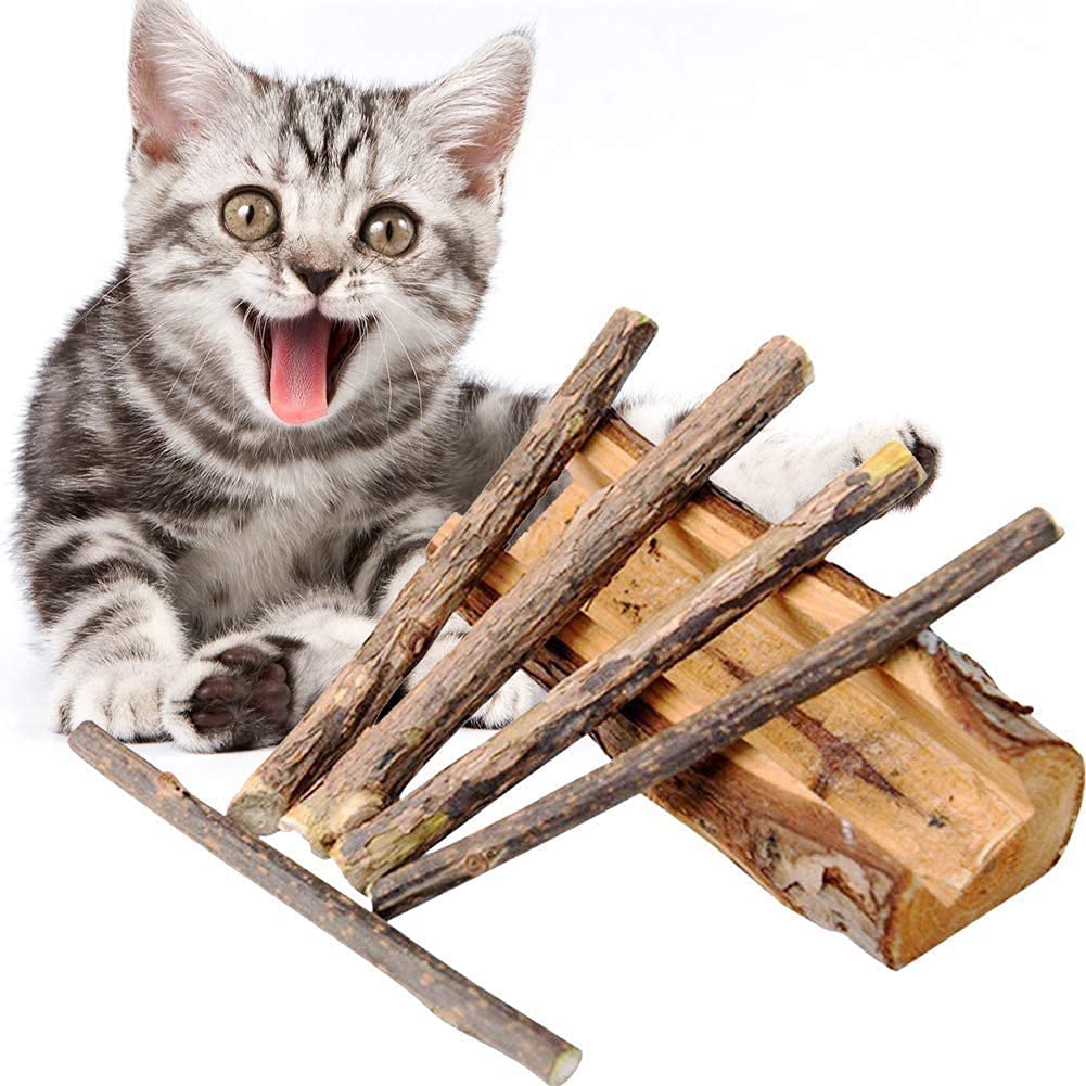 Mumoo Bear Catnip Toys for Cats, 40 Pcs Natural Matatabi Chew Stick, Silvervine Catnip Sticks for Cats, Kitten Cat Nip Toy for Cat Teeth Cleaning Cat Dental Care