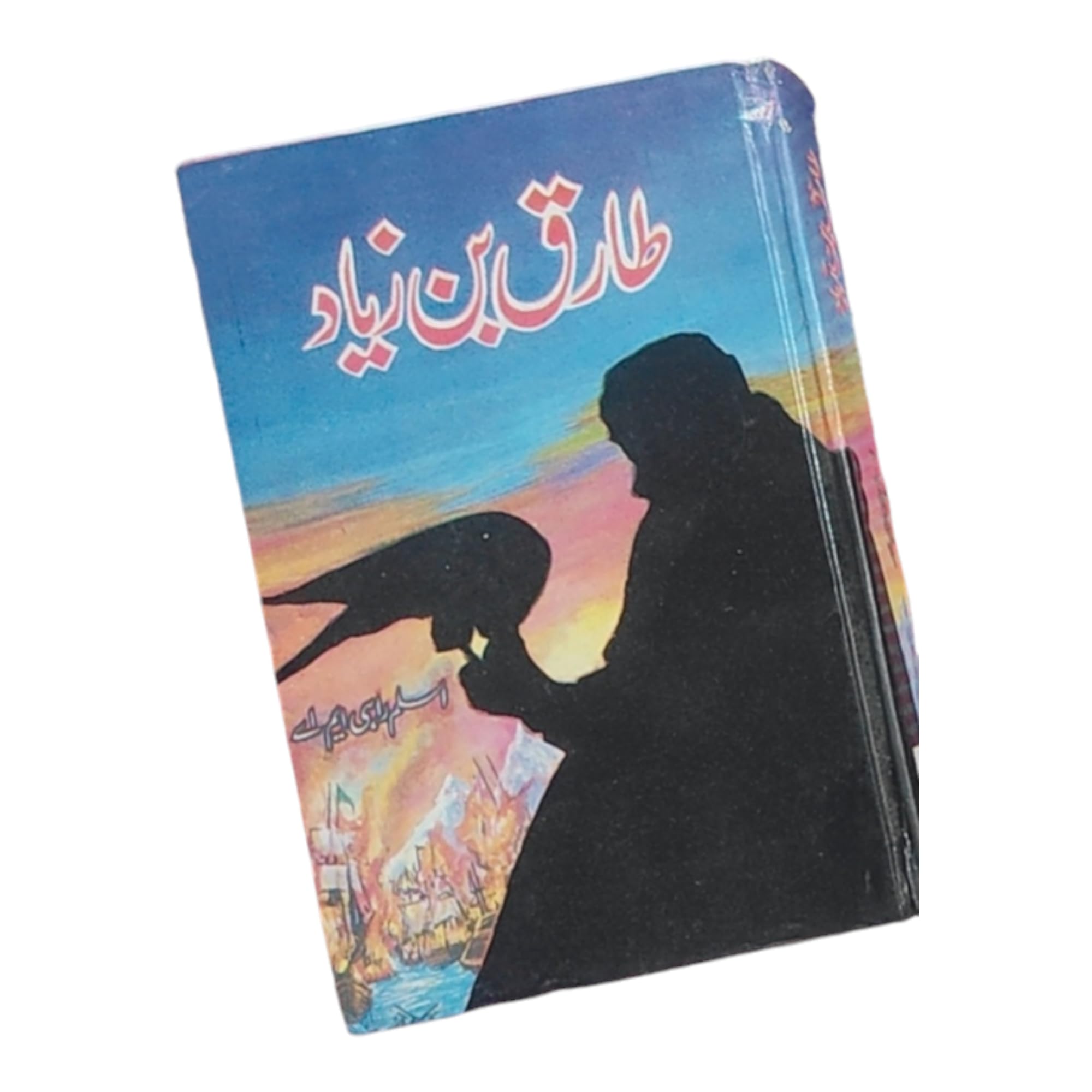 Tariq Bin Ziyad Novel in Urdu Language, Paperback