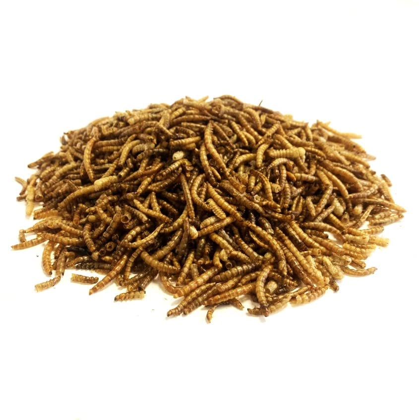 Dried Mealworms 5kg Premium Insectivorous Wild Bird Food By Maltbys' Stores 1904 Limited