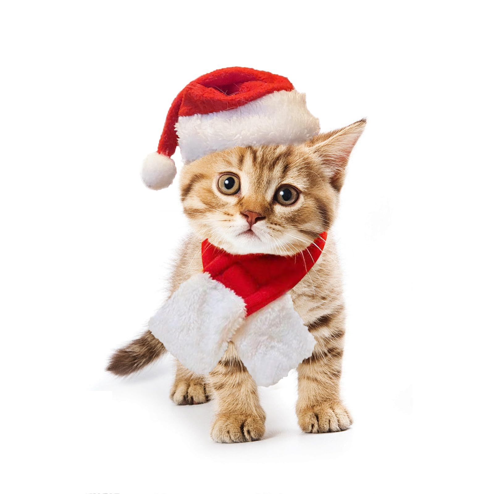 FUTERLYCat Santa Hat with Scarf Cat Christmas Costume Cat Christmas Hat Cat Christmas Outfit Pet Xmas Scarf Small Dog Christmas Hat Christmas Hat for Cats Puppy(L)