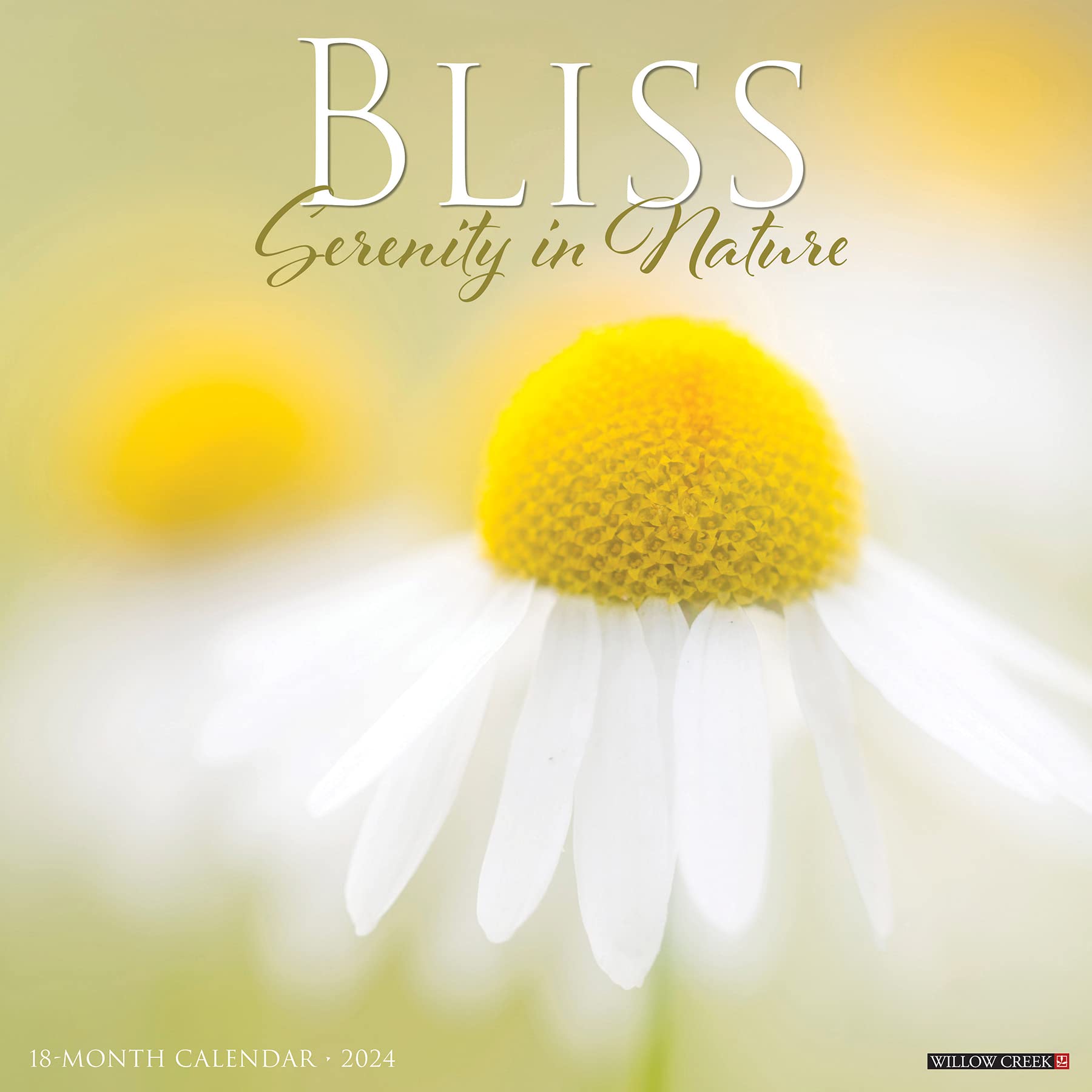 Bliss - Serenity in Nature 2024 Calendar