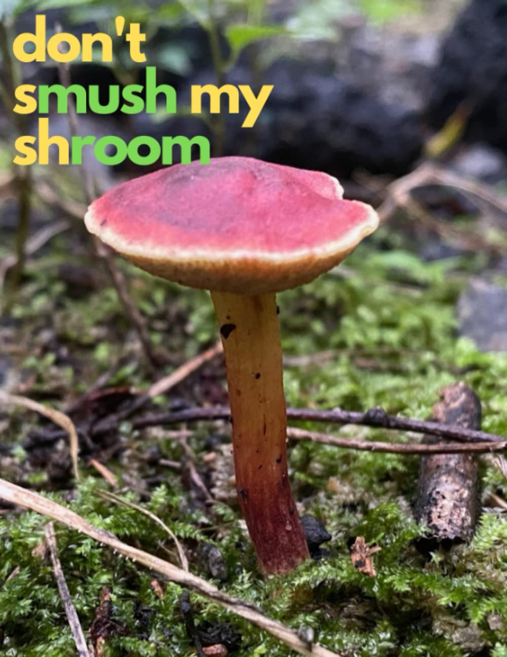 Don't Smush My Shroom Journal: Don't Smush My Shroom: Mushroom Themed Notebook with Templets for Personal Budget, Goals, Vision Board, Contacts