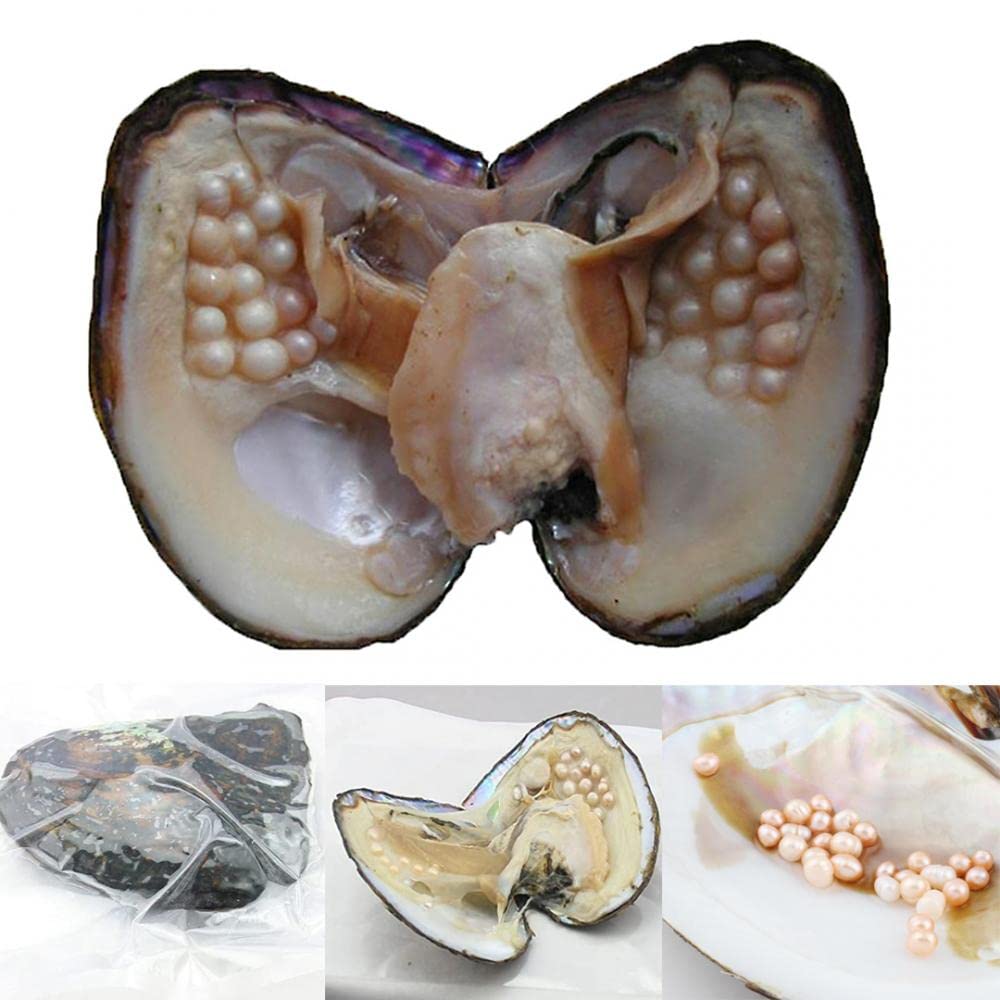 Natural Oyster Pearl, Freshwater Oval Pearls Cultured Oysters Clam Shells, Monster Oysters with Pearls Inside Bulk Real in Oyster, Anniversary Decoration for Jewelry Making Birthday Gifts(5-7mm)