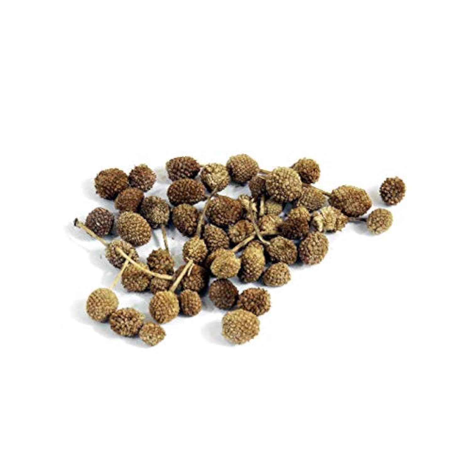 LUQMANI HERBAL MEDICINE East Indian Globe Thistle | Gul Mandi - Gorakhmundi - Sphaeranthus Indicus 100gm Raw