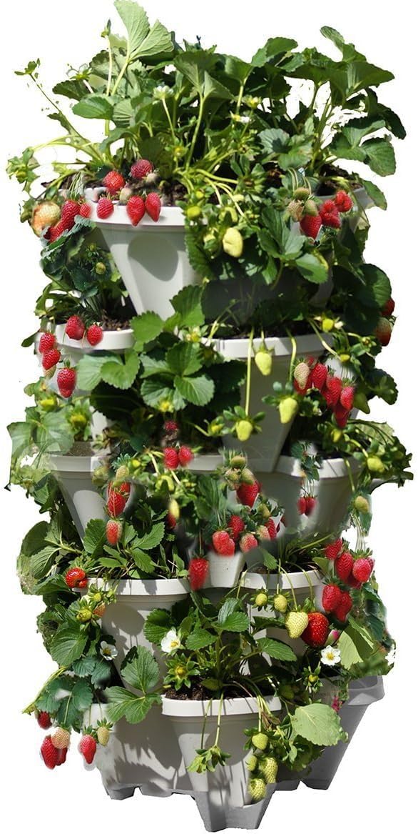 Stacky pot 5 Tier Stackable Strawberry, Herb, Flower, and Vegetable Planter -Vertical Planter Indoor/Outdoor | Pot plastic |Space Saving | Made in Korea