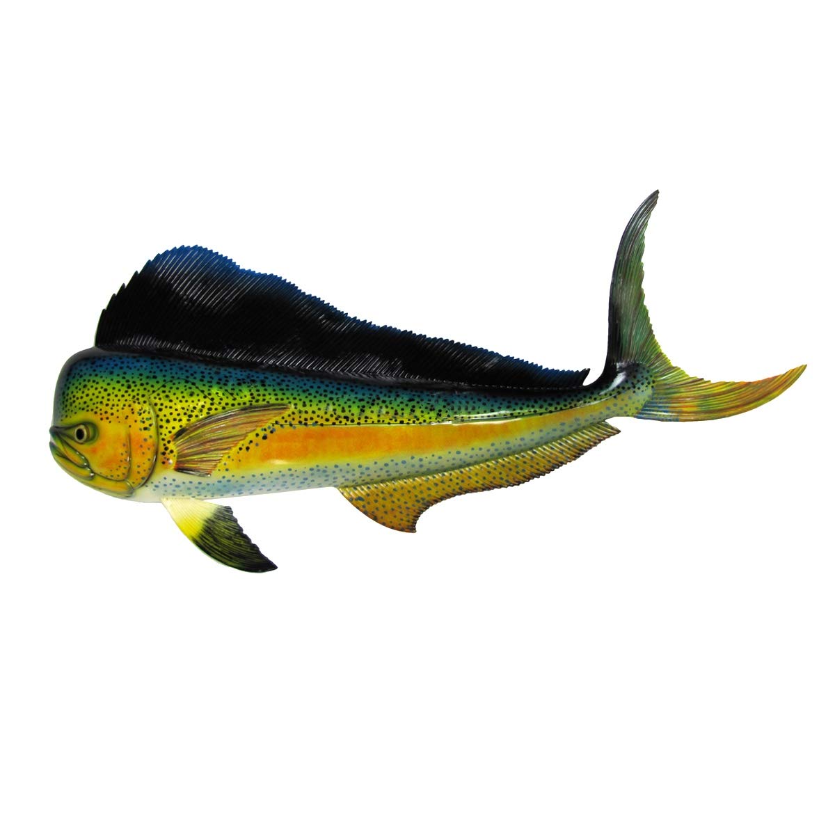 Treasure Gurus 48" Lifesize Realistic Saltwatter Mahi Fish Wall Mount Hand Painted Trophy Taxidermy