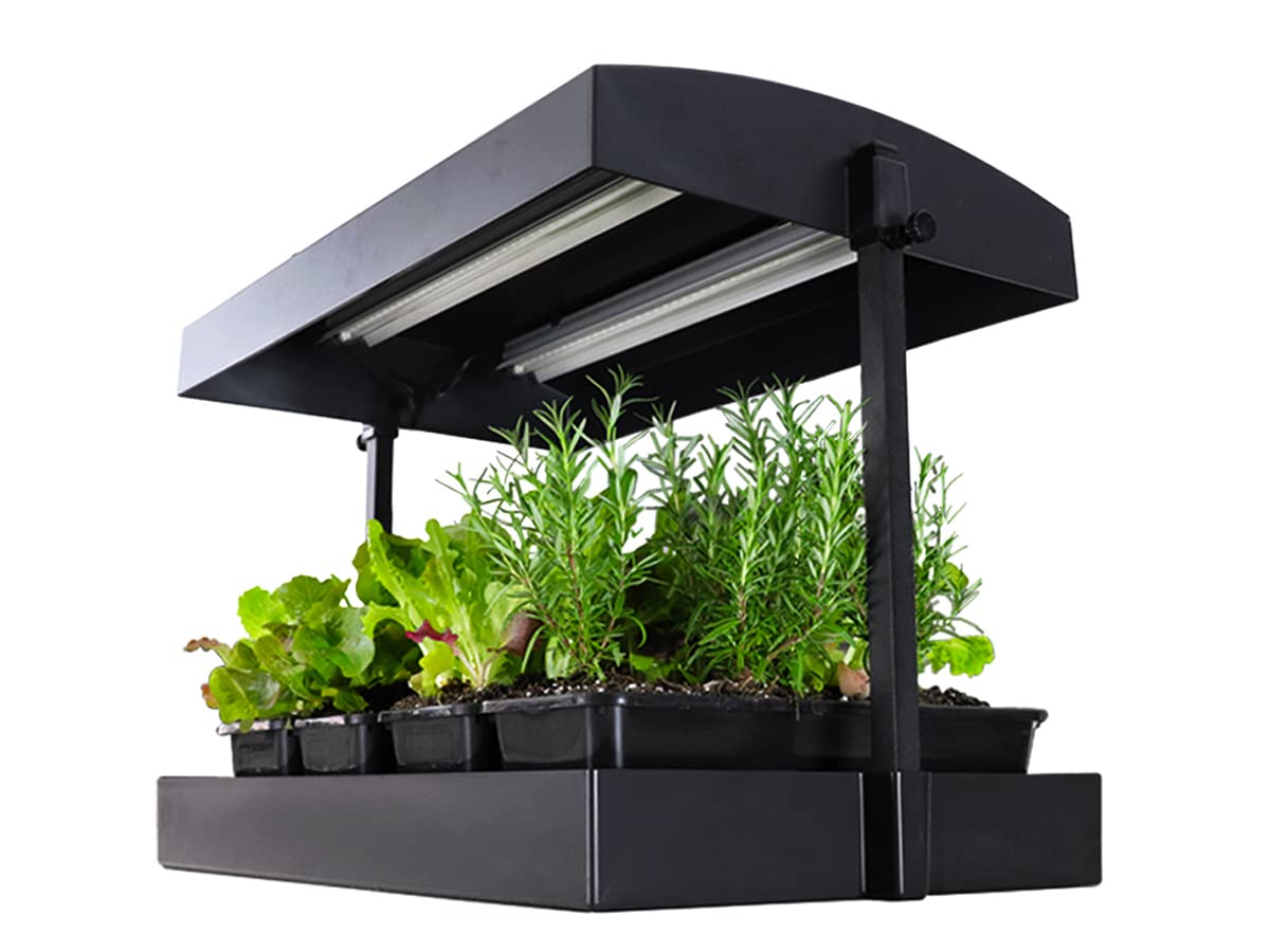 SunBlaster 1600200 SunBlaster Growlight Garden Large, Black