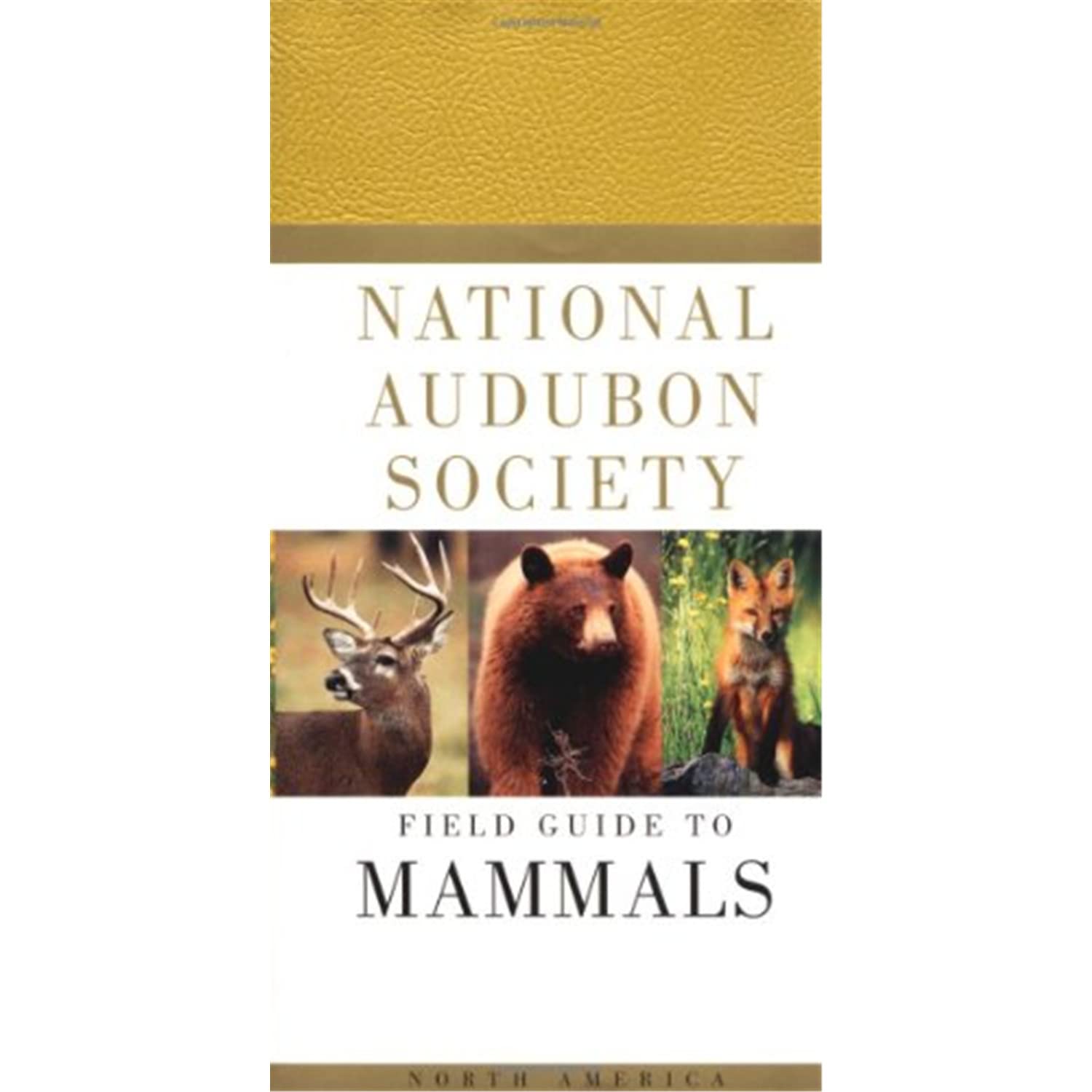 Audbn Fg Mammals Of N America, John Whitaker, Publisher - Random