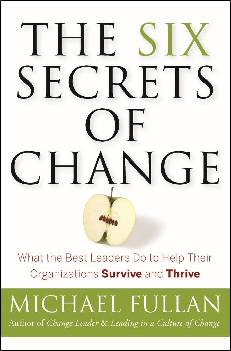 The Six Secrets of Change: What the Best Leaders Do to Help Their Organizations Survive and Thrive Paperback – November 22, 2011