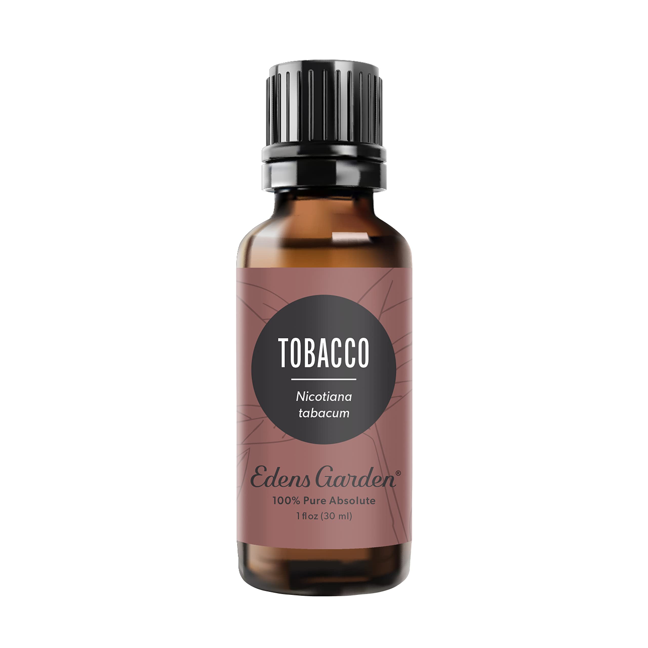 Edens Garden Tobacco- Absolute Essential Oil, 100% Pure Therapeutic Grade, 30 ml