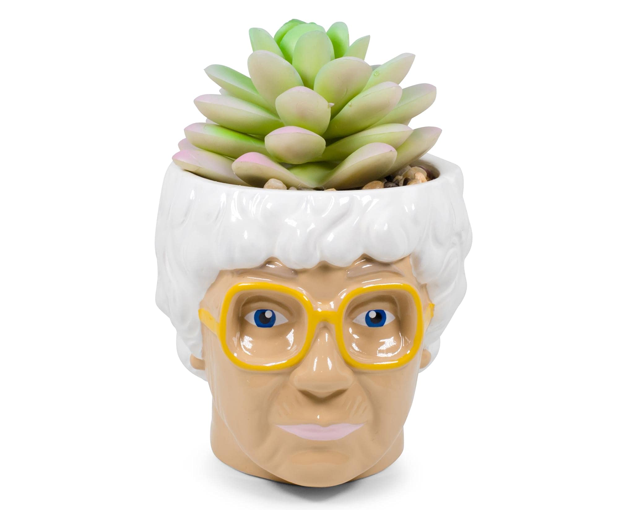 Silver BuffaloThe Golden Girls Sophia Face Mini Keramik Übertopf Decor | Offizielles TV-Show Sammlerstück | Kleiner Blumentopf for Zimmerpflanzen inklusive succulent | 7,6 cm