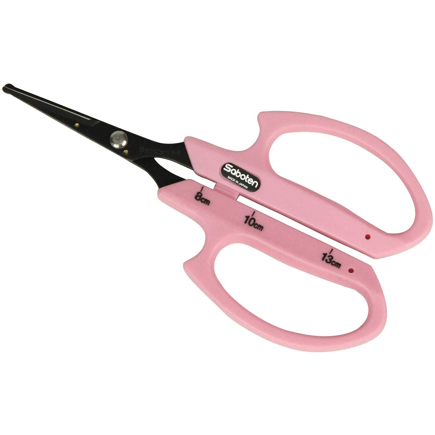 Cactus round destination fluorine coat grape scissors B-6 (japan import)