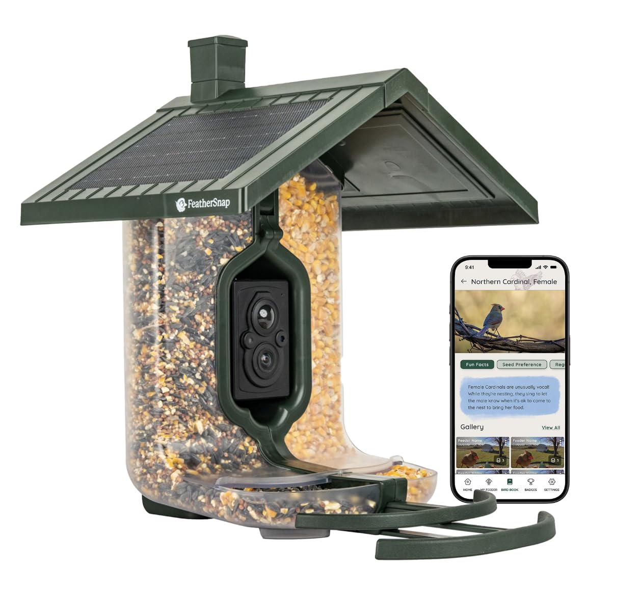 Scout Wi-Fi Solar Powered Smart Bird Feeder - Automatically Captures HD Pictures and Videos! Best Gift for Bird Watchers! Dual Seed Chamber - Feather Snap