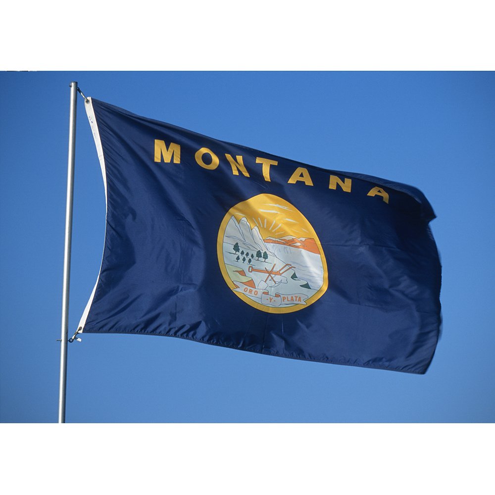 Allied Flag Outdoor Nylon State Flag, Montana, 4-Foot by 6-Foot