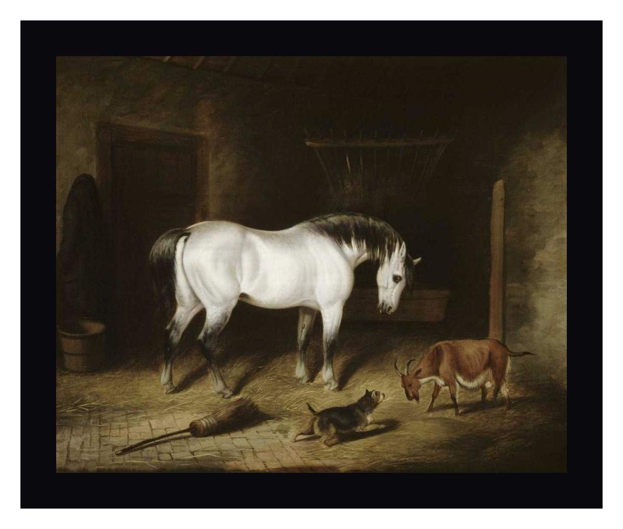 White Horse by John Frederick Herring - 30" x 36" Framed Canvas Art Print - Black Frame - Ready to Hang