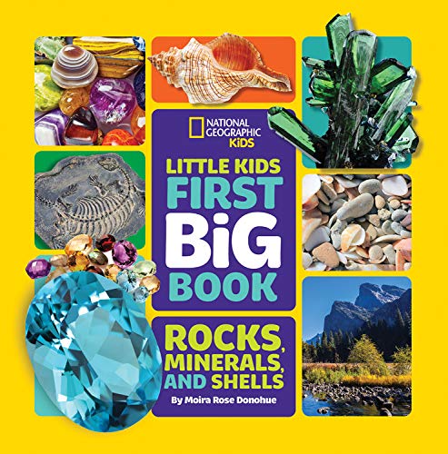 Little Kids First Big Book of Rocks, Minerals and Shells