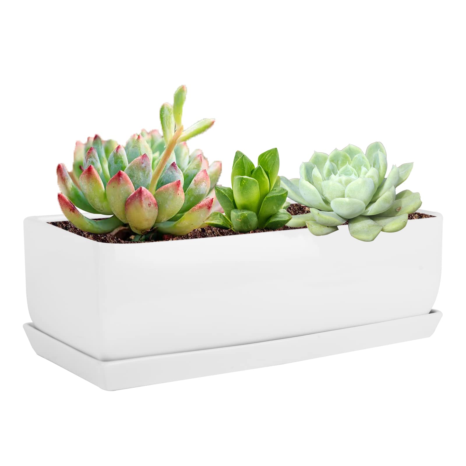 Vencer14 Inch Rectangular Modern Minimalist Ceramic Succulent Planter Pot - Window Box with Saucer,Office Desktop Potted Stand,White,VF-0173W