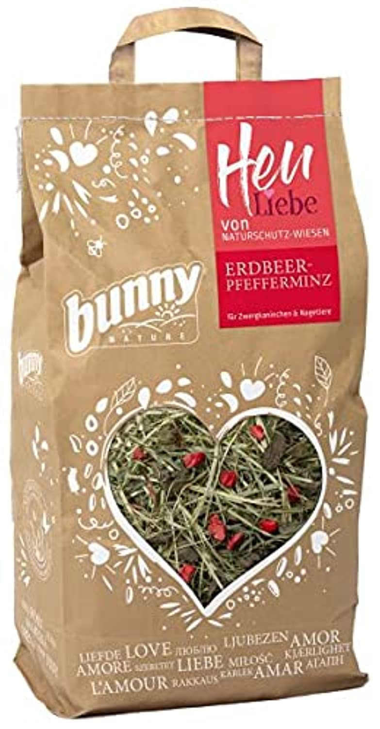 Bunny Nature My Favorite Hay from Nature Conservation Meadows Strawberry-Peppermint for Dwarf Rabbits and Rodents, 100g