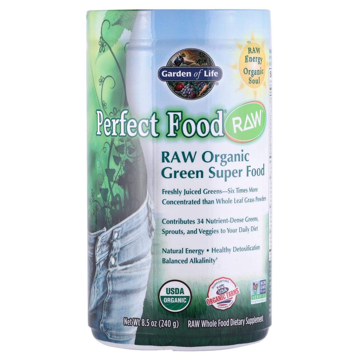 Garden of Life Perfect Food Raw Green Super Food, 240 g