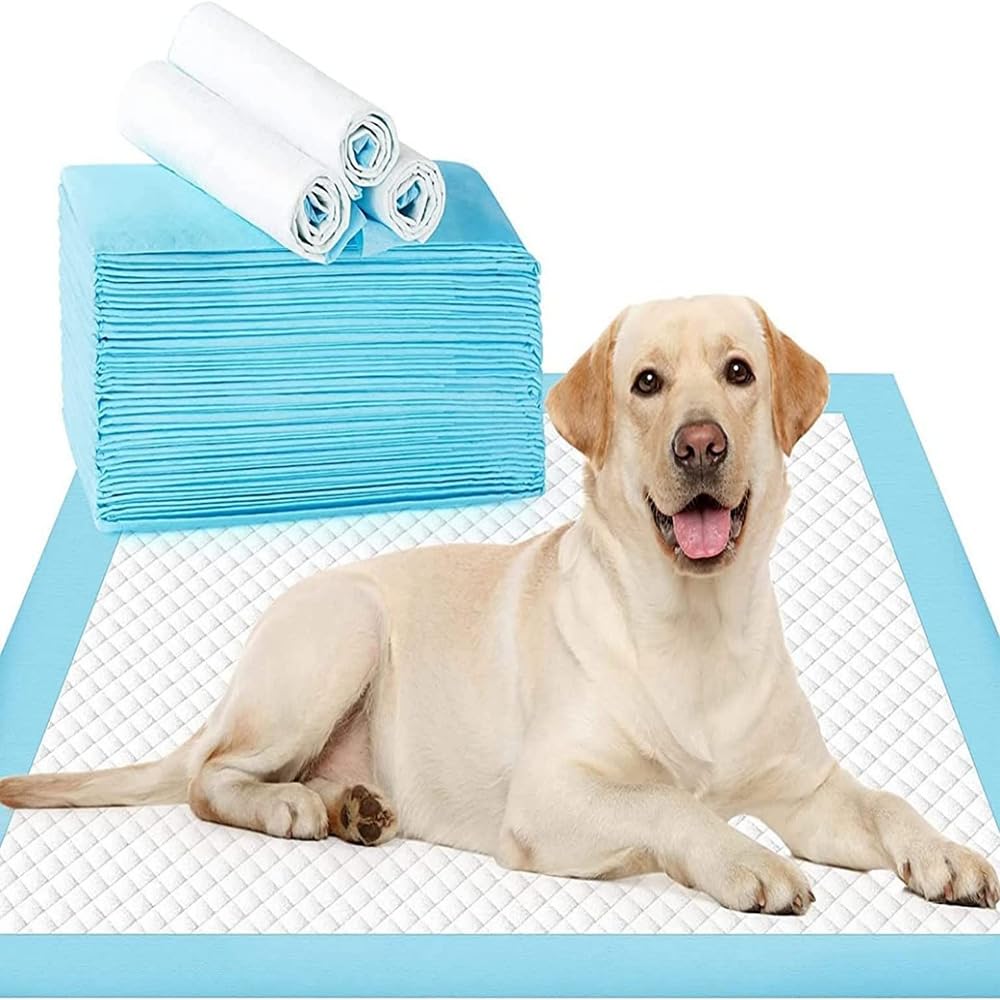 Mumoo Bear Pet Training Mat, Pee Pads For Dogs,Super Absorbent & Leak-Proof 60 X 60cm - 40 Count