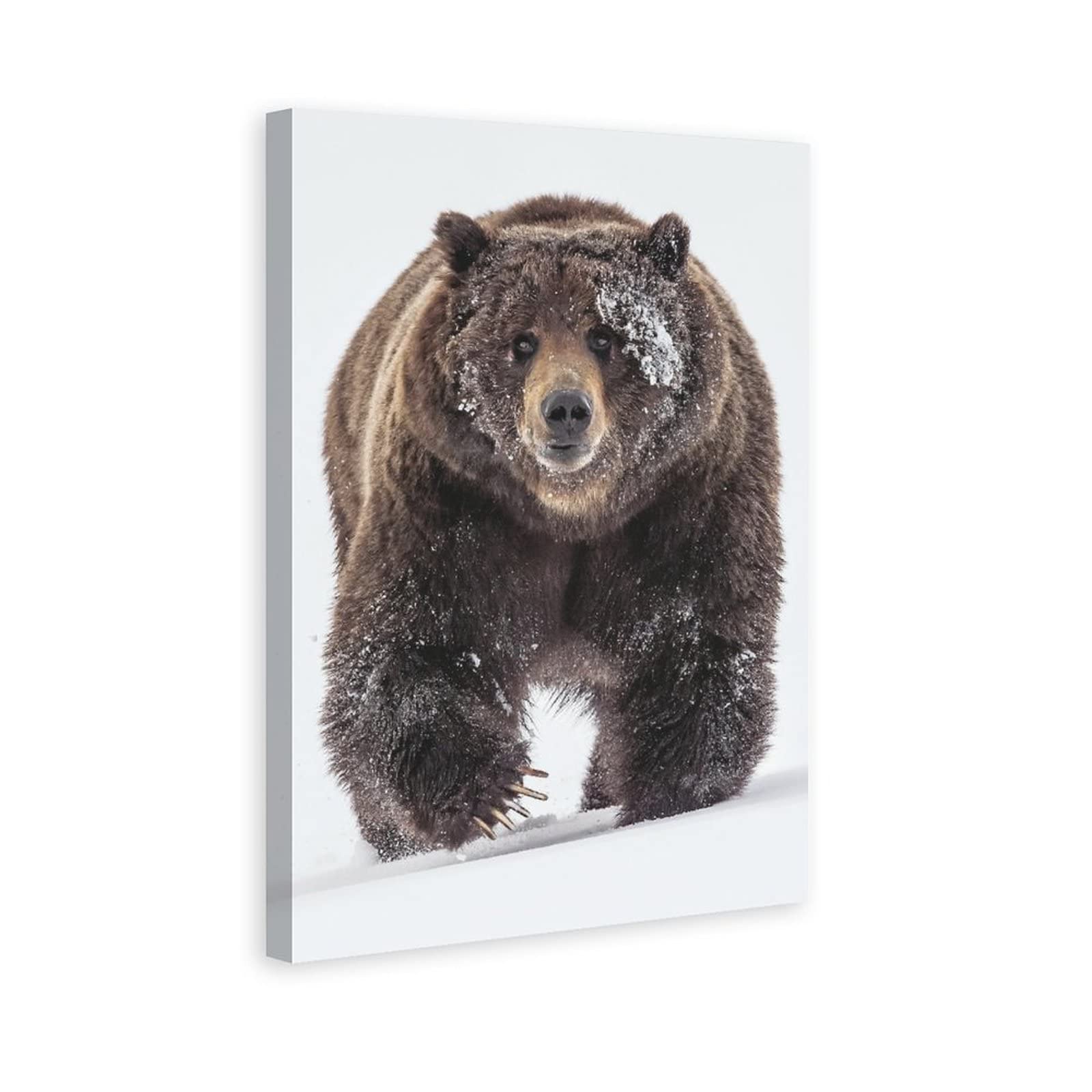 Grizzly Bear Snow Canvas Poster Bedroom Decor Sports Landscape Office Room Decor Gift 16x24inchs(40x60cm)