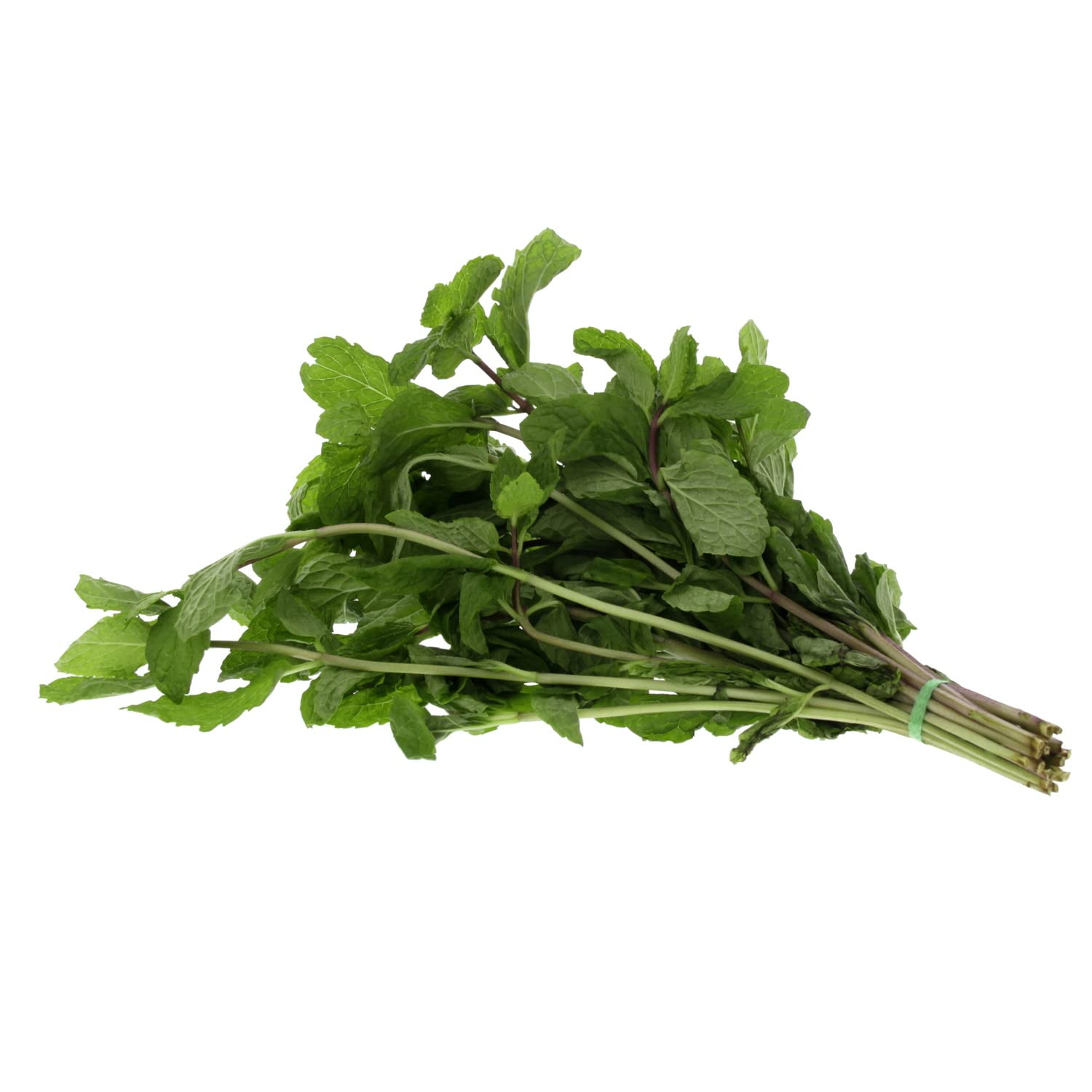 Mint Leaves UAE 1 Bunch