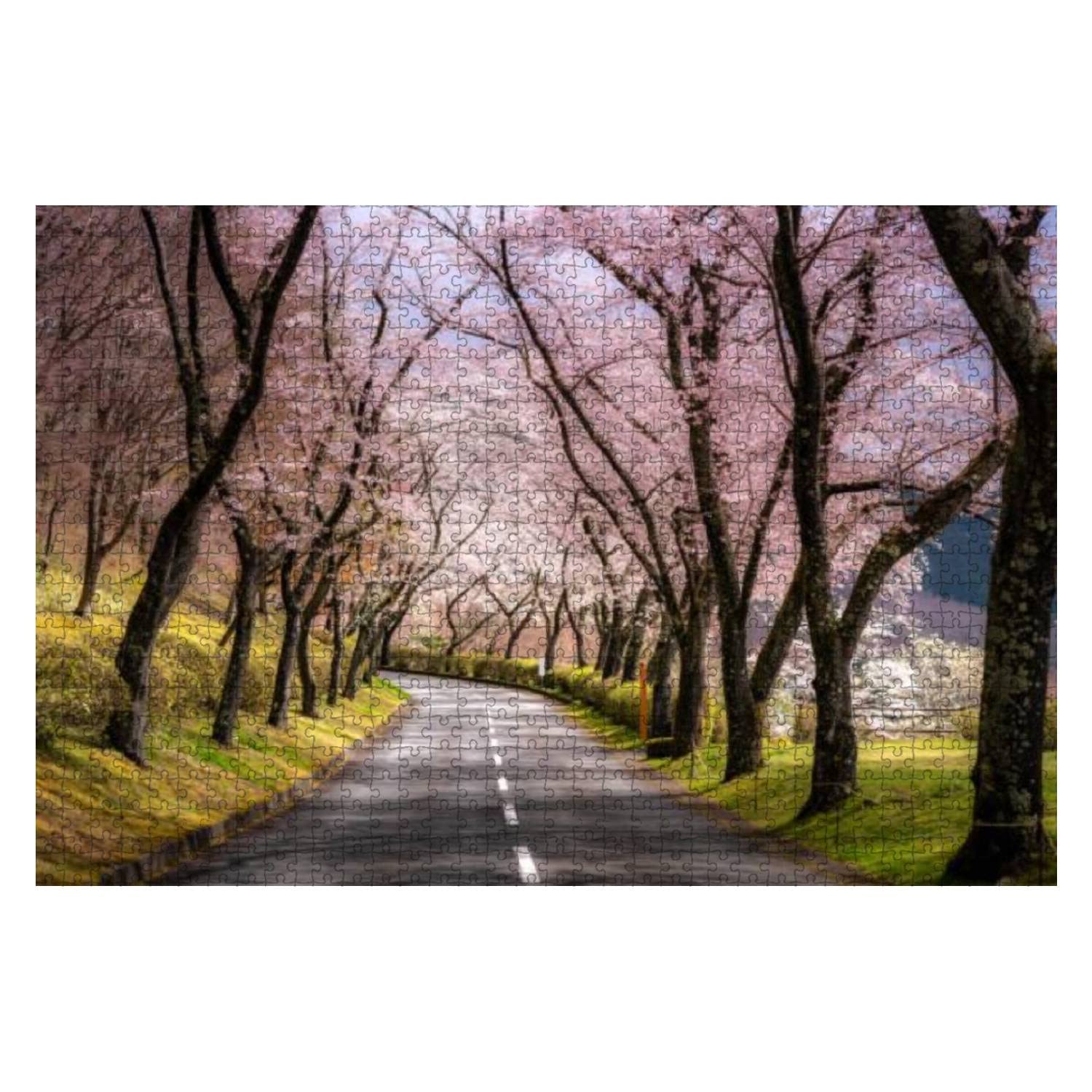 View of Cherry blossom tunnel in April along both sides in Shizuoka 1000 Pieces Wooden Jigsaw Puzzles for Adults Decompression DIY Children Educational Puzzles Creative Games Toys Gift Home Decor