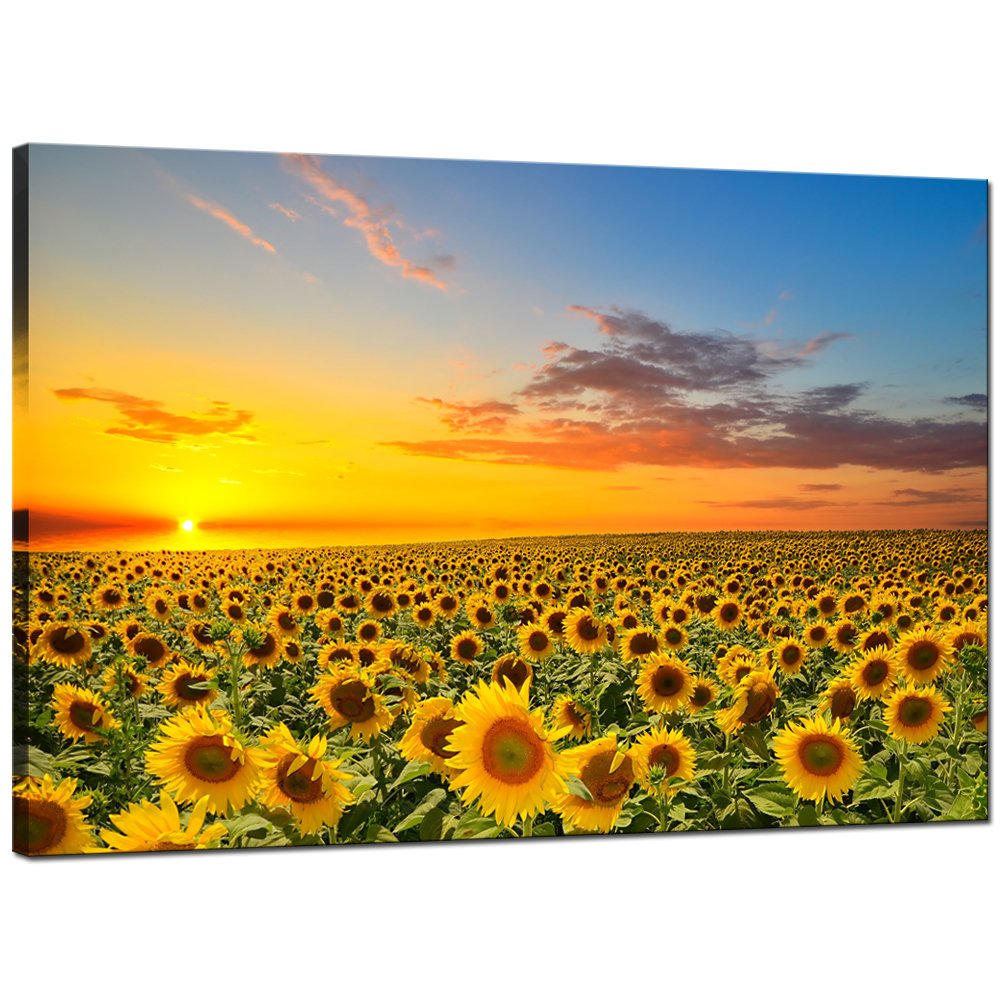 sechars Sunflower Canvas Wall Art Sunrise in Field Landscape Picture Painting Print Modern Living Room Decor,Framed Ready to Hang