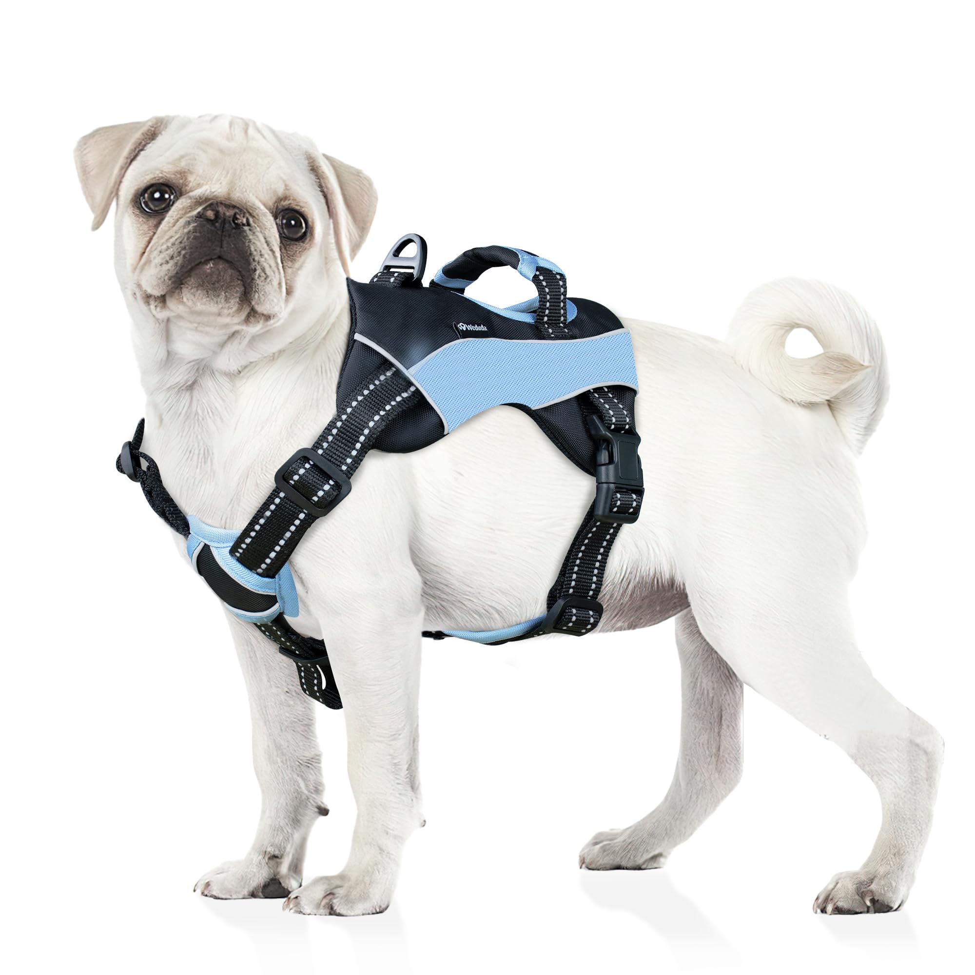 Dog Harness (S)