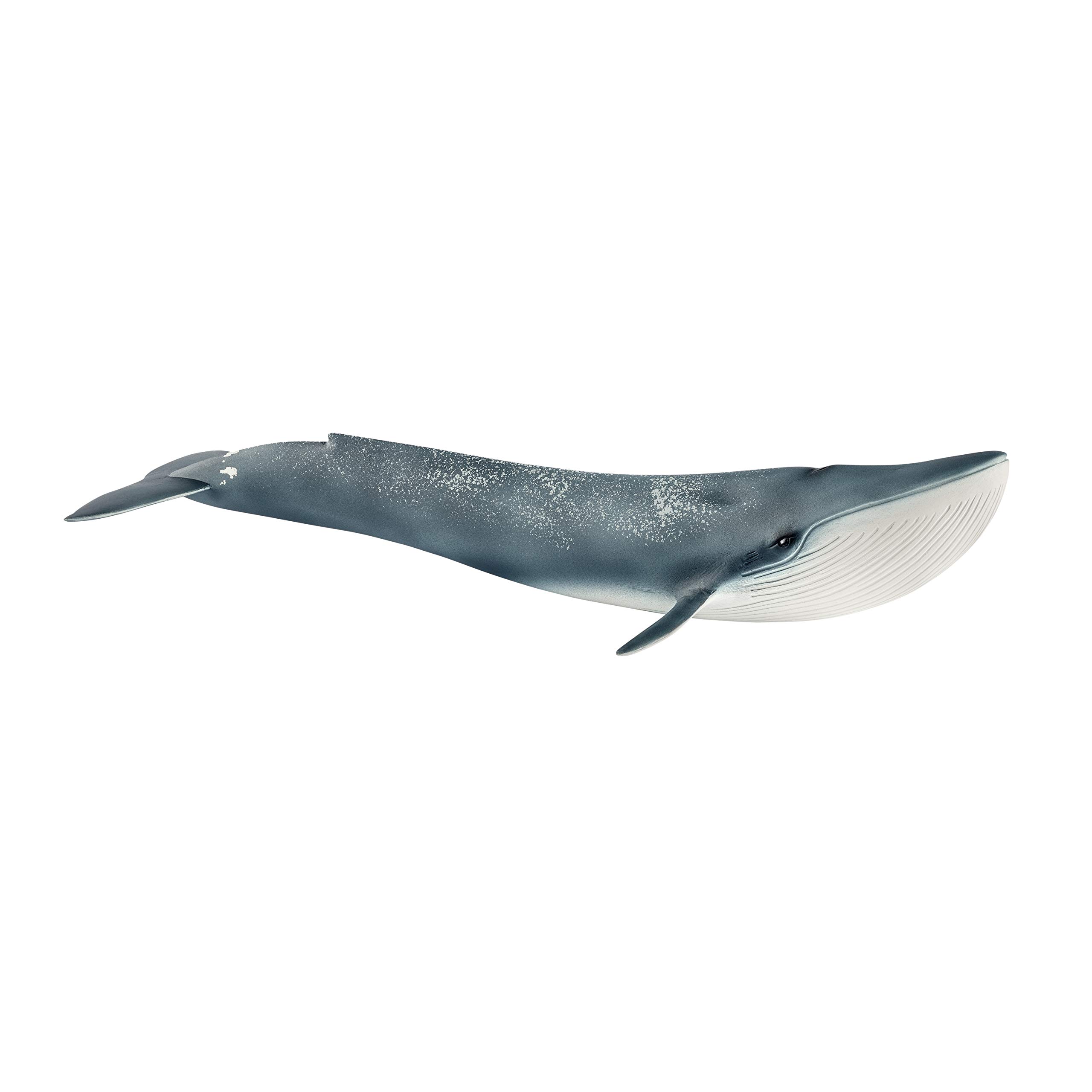 Schleich 14806 Blue Whale Toy Figures-Standard