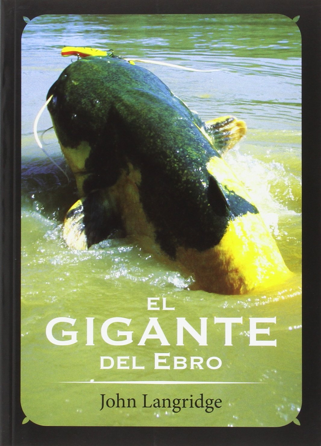 El gigante del Ebro