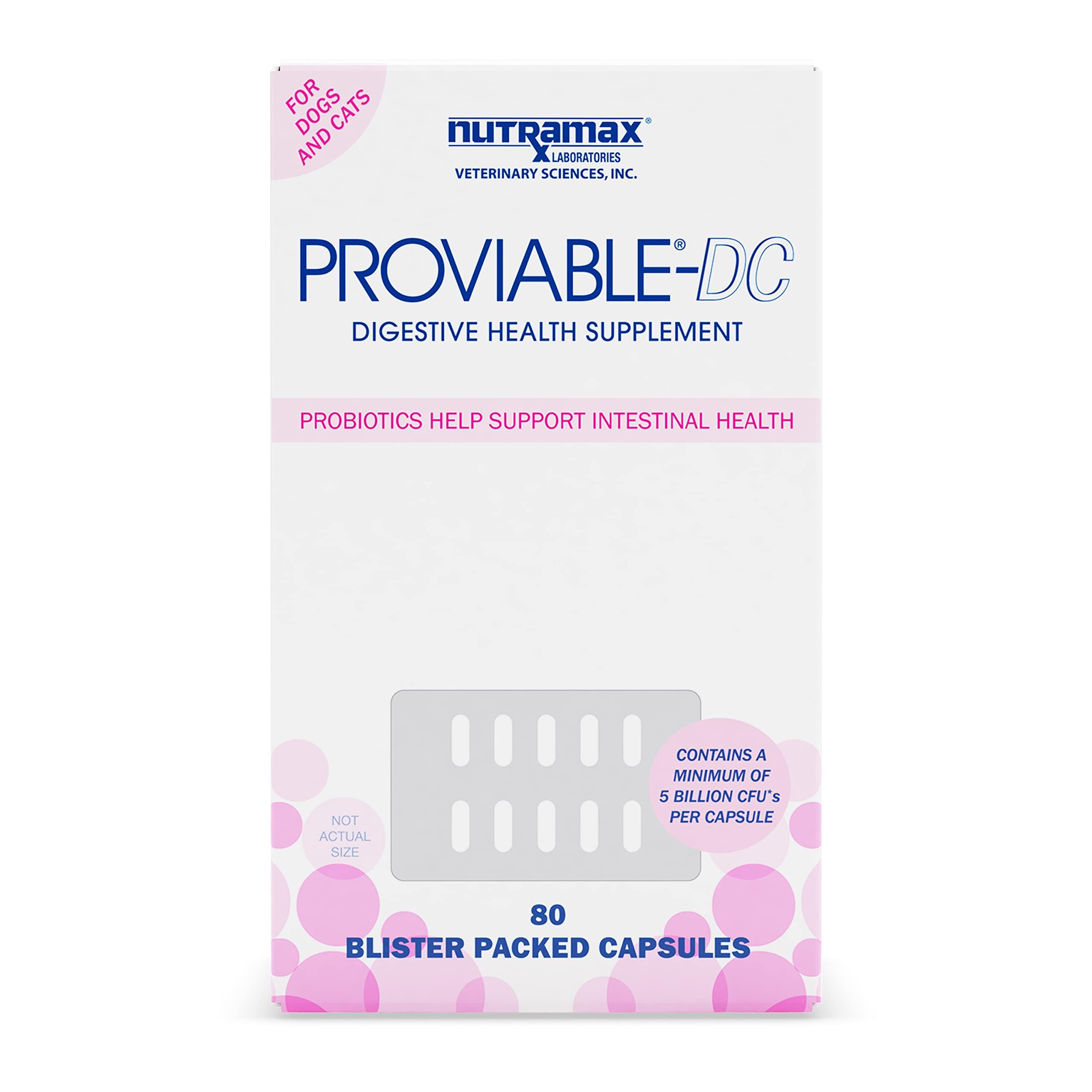 Nutramax Proviable Digestive Health Supplement Multi-Strain Probiotics and Prebiotics for Cats and Dogs - with 7 Strains of Bacteria, 80 Capsules, blue