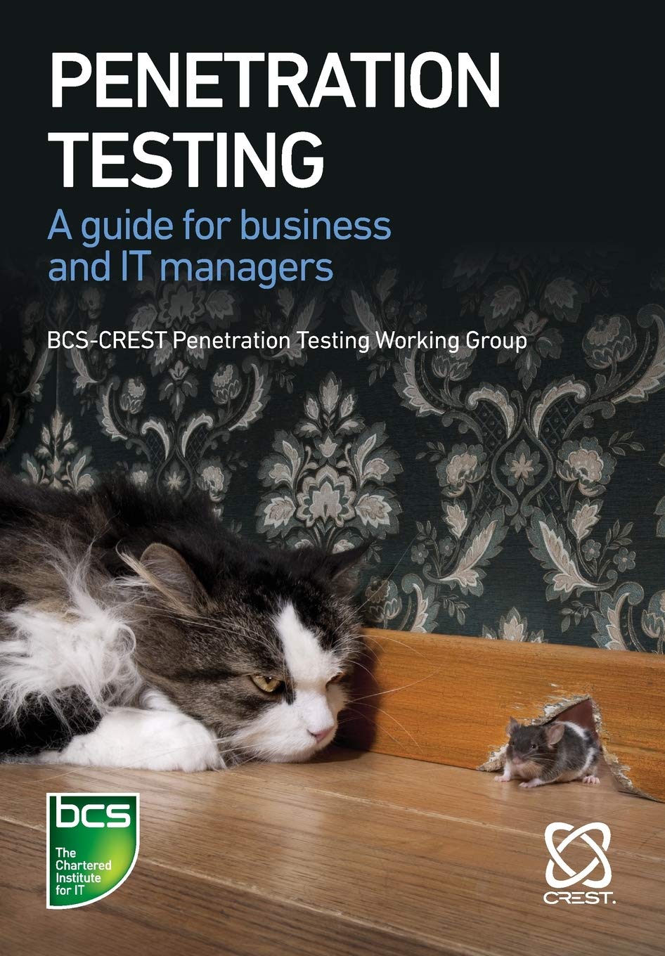 Penetration Testing: A guide for business and IT managers