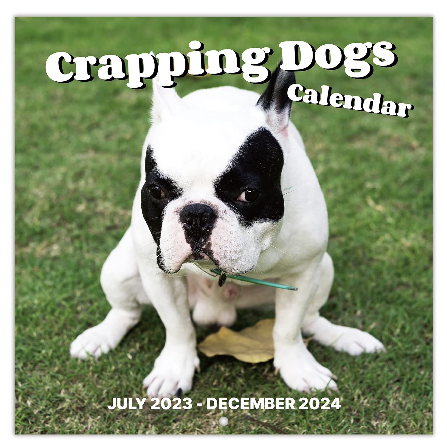 2023-2024 Wall Calendar – Jul 2023 - Dec 2024, 18 Monthly Pooping Dogs Calendar 2023-2024, Funny Gag Gifts Dog Calendar, 11.8" x 23.6" (Open), 11.8" x 11.8" (Closed), Perfect White Elephant Gifts