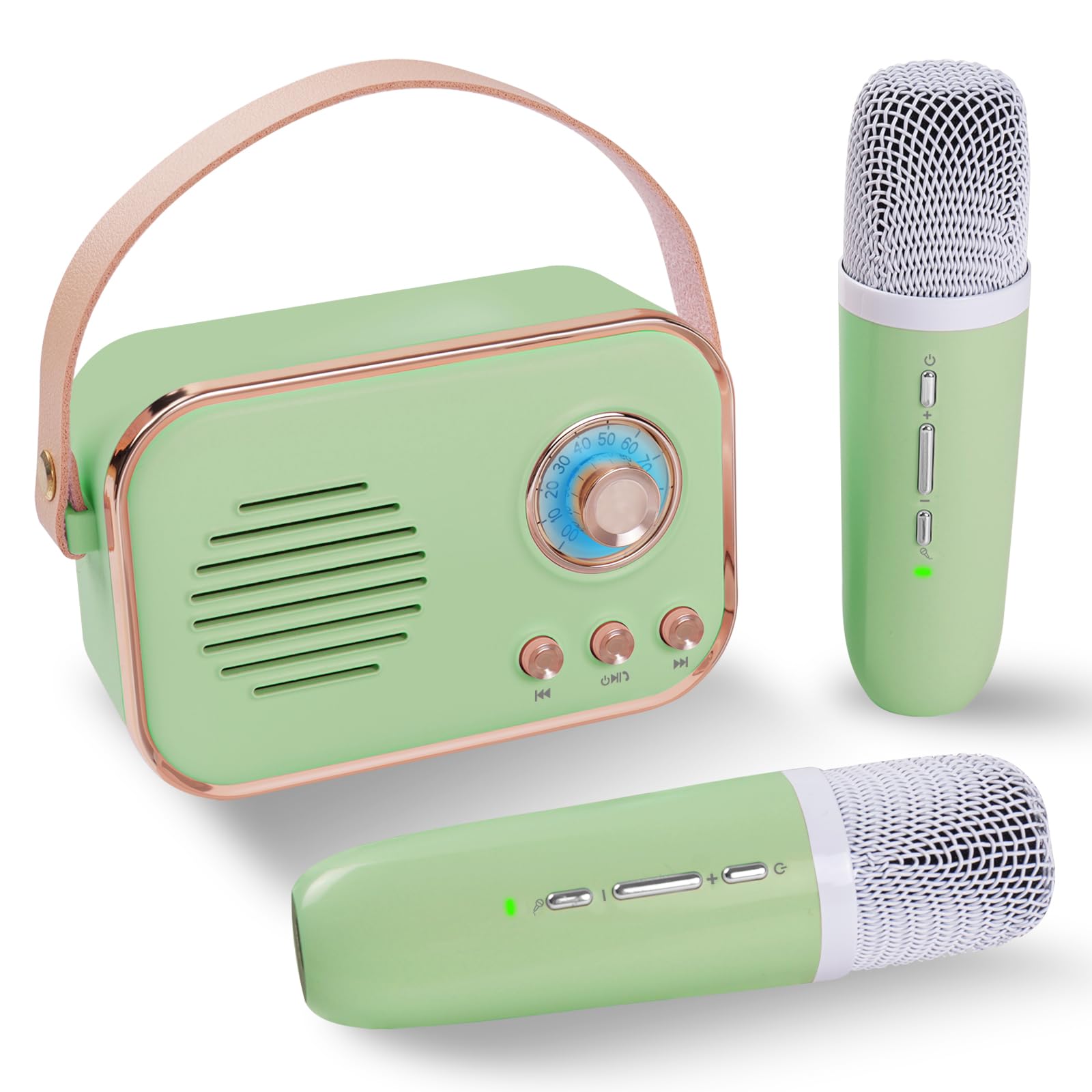 AresroraRetro Karaoke Machine,Mini Karaoke Machine with 2 Wireless Microphones,Portable Small Karaoke Set Toys for Kids and Adults,Cool Tech Gifts for Birthday Home Party Ideas (Green 2 Mic)